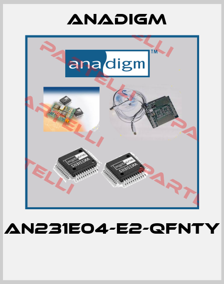 AN231E04-E2-QFNTY  Anadigm