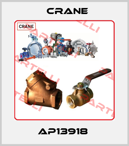 AP13918  Crane