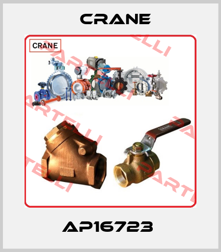 AP16723  Crane