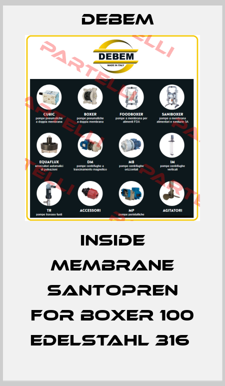 Inside membrane santopren for Boxer 100 Edelstahl 316  Debem