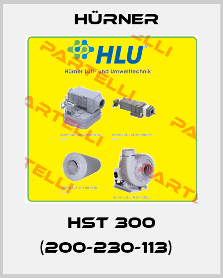 HST 300 (200-230-113)   HÜRNER
