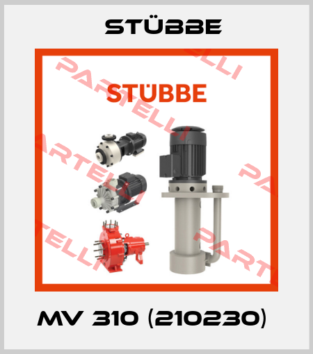MV 310 (210230)  Stübbe