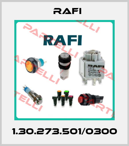1.30.273.501/0300 Rafi