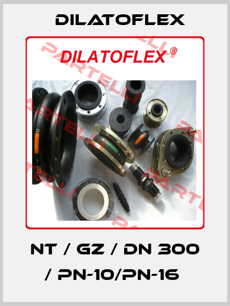 NT / GZ / DN 300 / PN-10/PN-16  DILATOFLEX