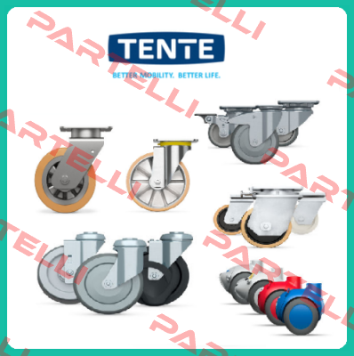 9958FTP150P65 (Teilenummer: 00806805-GS) Tente