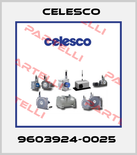 9603924-0025  Celesco