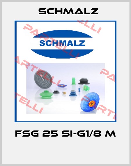 FSG 25 SI-G1/8 M  Schmalz