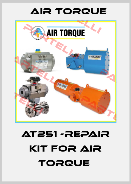 AT251 -REPAIR KIT FOR AIR TORQUE  Air Torque