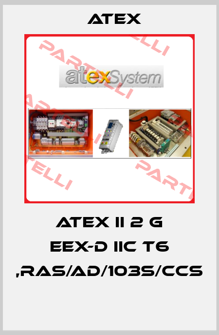 ATEX II 2 G EEX-D IIC T6 ,RAS/AD/103S/CCS  Atex
