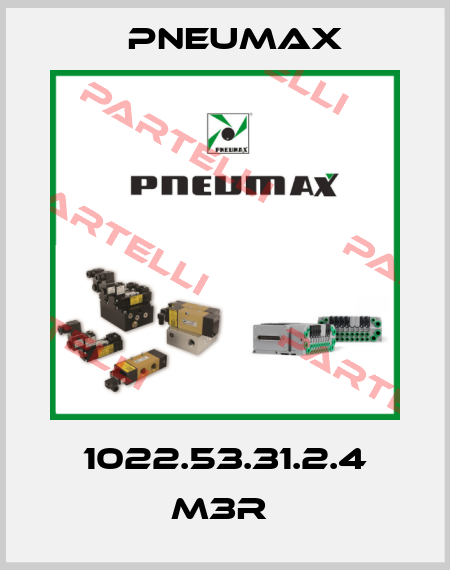 1022.53.31.2.4 M3R  Pneumax