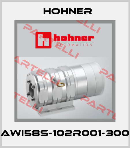 AWI58S-102R001-300 Hohner