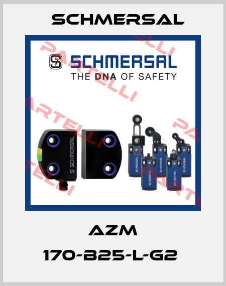 AZM 170-B25-L-G2  Schmersal