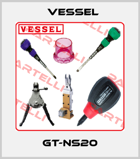 GT-NS20 VESSEL