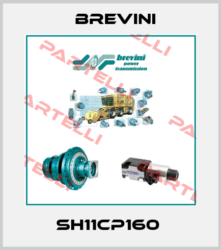 SH11CP160  Brevini