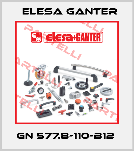 GN 577.8-110-B12  Elesa Ganter