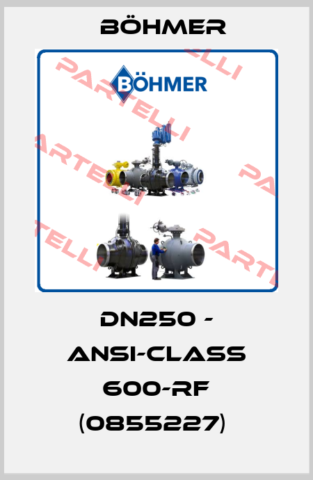 DN250 - ANSI-CLASS 600-RF (0855227)  Böhmer