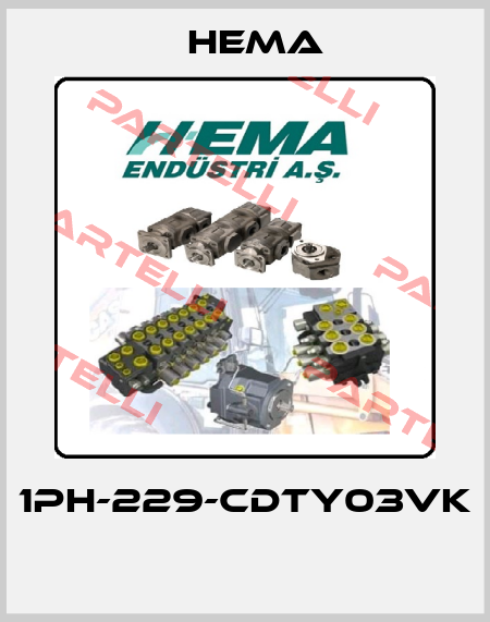 1PH-229-CDTY03VK  Hema