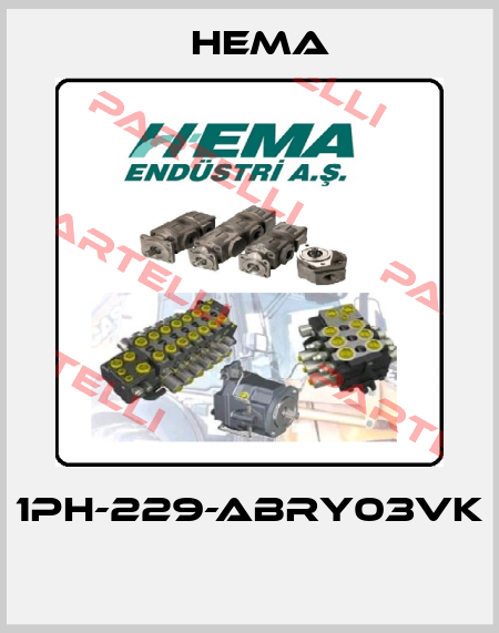 1PH-229-ABRY03VK  Hema
