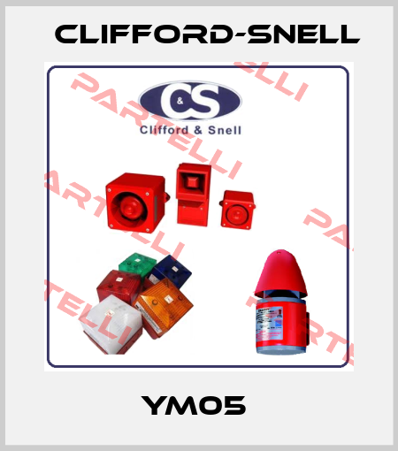 YM05  Clifford-Snell