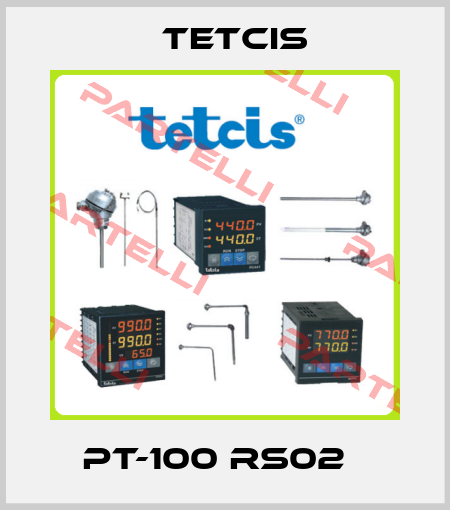 PT-100 RS02   Tetcis
