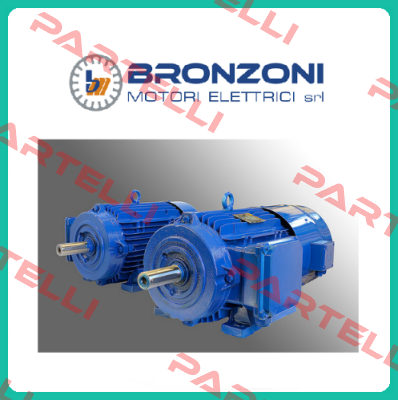 IE2M4003A1100  Bronzoni