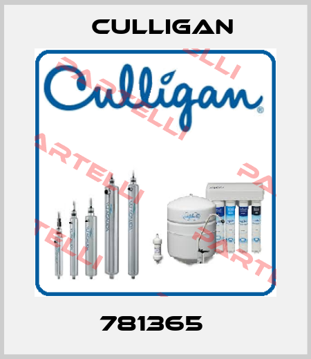 781365  Culligan