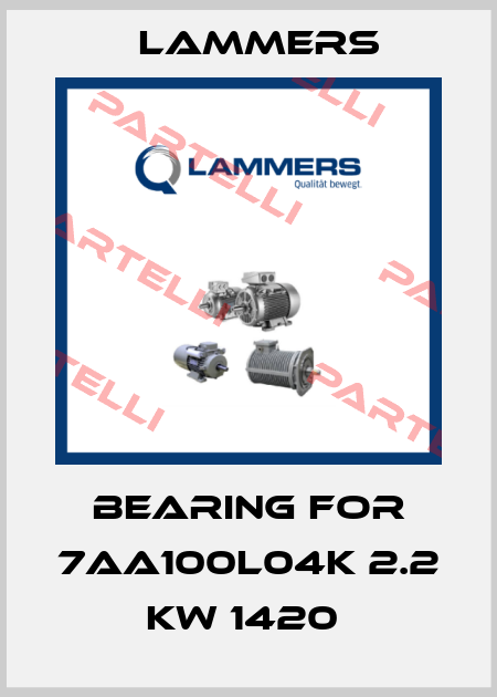 BEARING FOR 7AA100L04K 2.2 KW 1420  Lammers