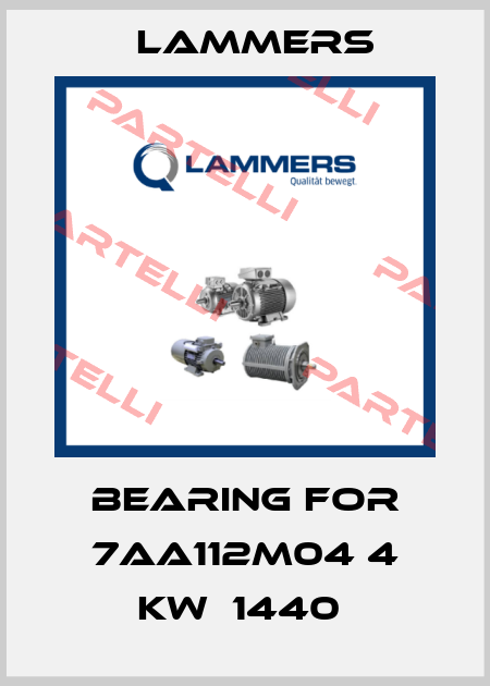 BEARING FOR 7AA112M04 4 KW  1440  Lammers