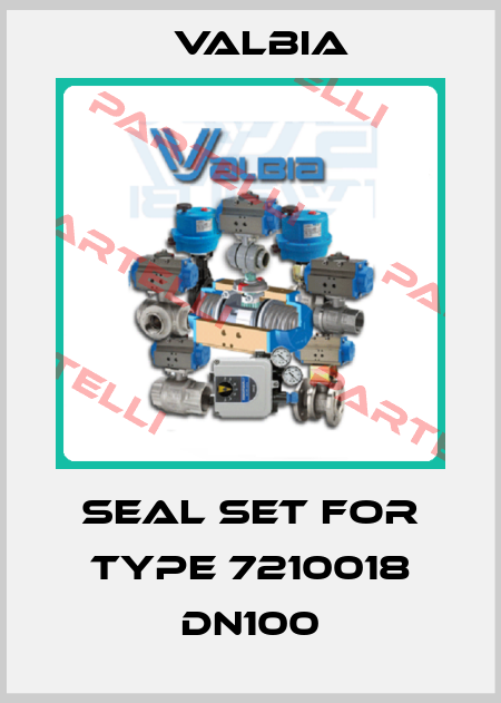 Seal set for type 7210018 DN100 Valbia
