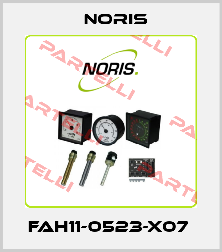FAH11-0523-X07  Noris