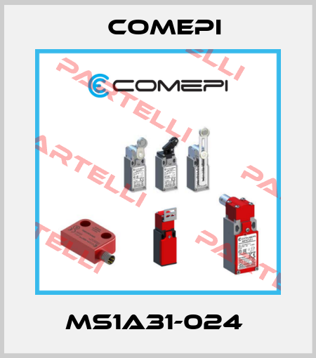 MS1A31-024  Comepi