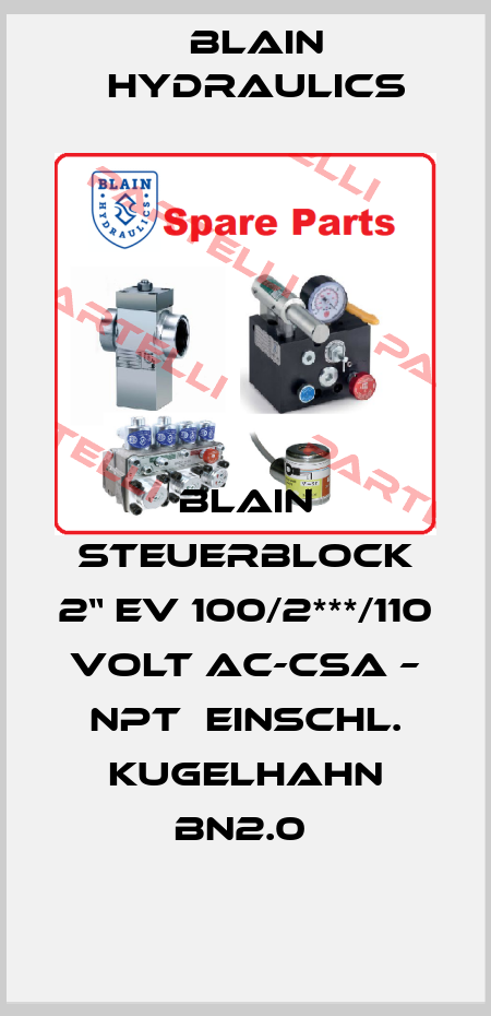 BLAIN STEUERBLOCK 2“ EV 100/2***/110 VOLT AC-CSA – NPT  EINSCHL. KUGELHAHN BN2.0  Blain Hydraulics