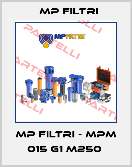 MP Filtri - MPM 015 G1 M250  MP Filtri