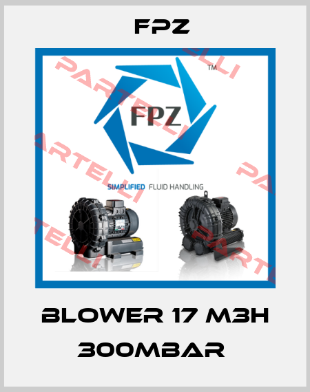 BLOWER 17 M3H 300MBAR  Fpz