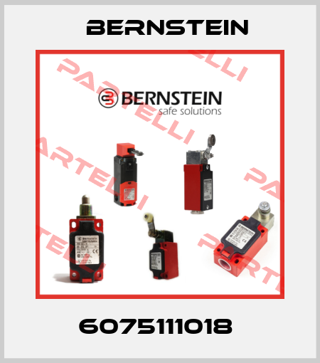 6075111018  Bernstein
