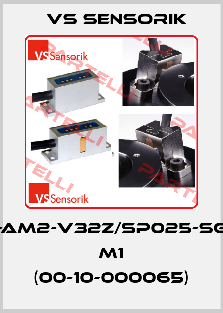 SGM2G-AM2-V32Z/SP025-SG17P-T8- M1 (00-10-000065) VS Sensorik