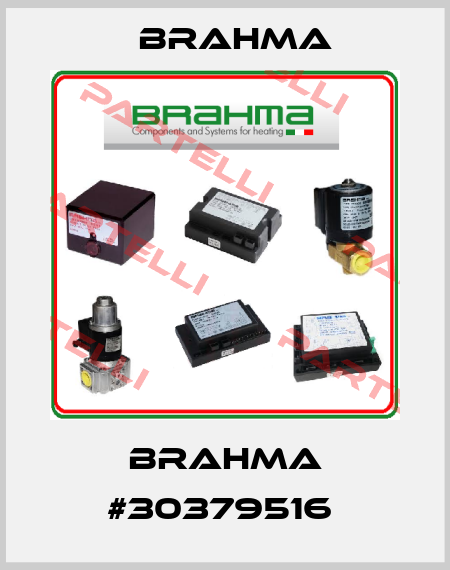 Brahma #30379516  Brahma