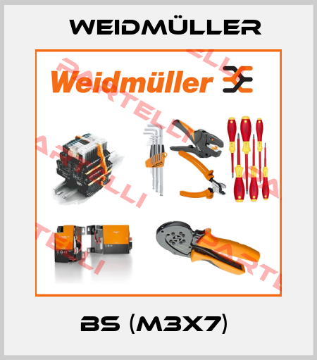 BS (M3X7)  Weidmüller