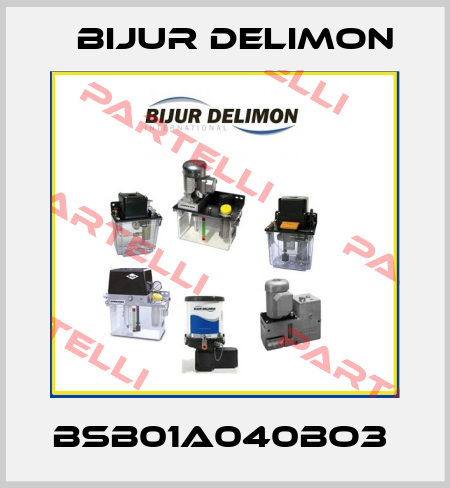 BSB01A040BO3  Bijur Delimon