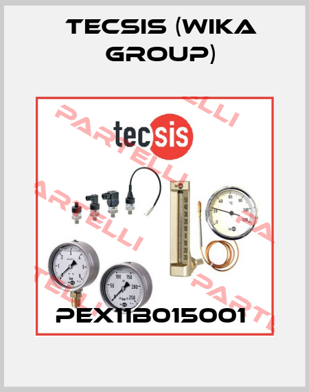 PEX11B015001  Tecsis (WIKA Group)