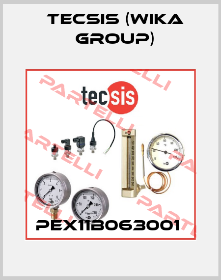 PEX11B063001  Tecsis (WIKA Group)