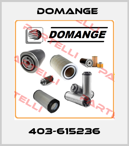 403-615236 Domange