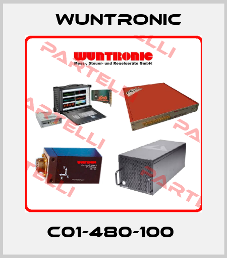 C01-480-100  Wuntronic