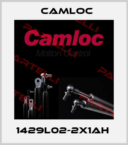 1429L02-2X1AH  Camloc