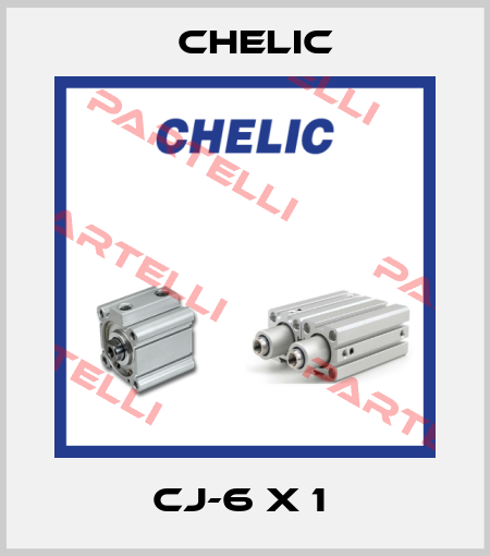 CJ-6 X 1  Chelic
