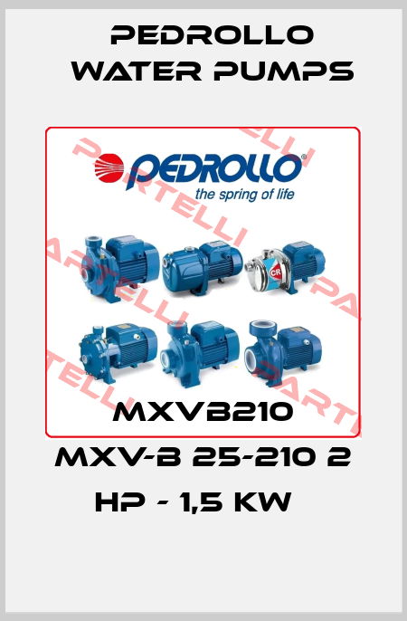 MXVB210 MXV-B 25-210 2 HP - 1,5 kW   Pedrollo Water Pumps