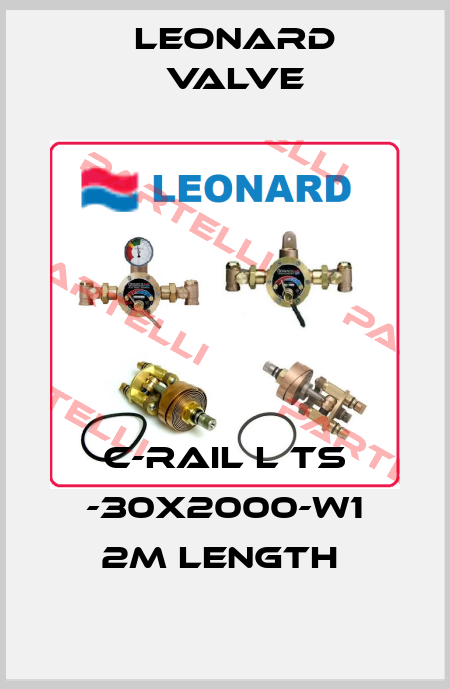 C-RAIL L TS -30X2000-W1 2M LENGTH  LEONARD VALVE