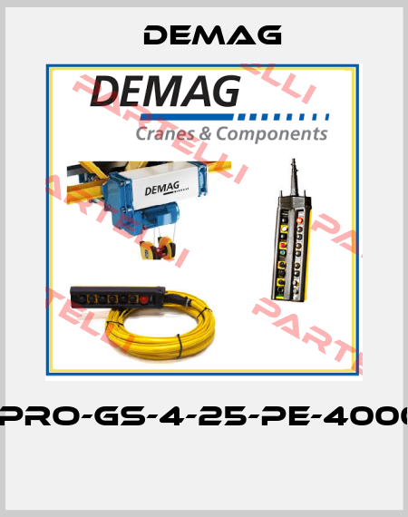 DCL-PRO-GS-4-25-PE-4000MM  Demag