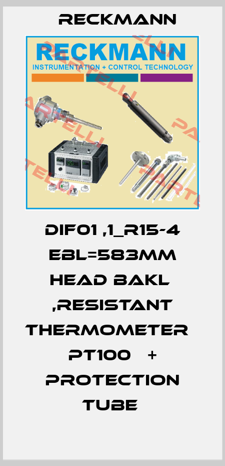 DIF01 ,1_R15-4 EBL=583MM HEAD BAKL  ,RESISTANT THERMOMETER   PT100   + PROTECTION TUBE  Reckmann