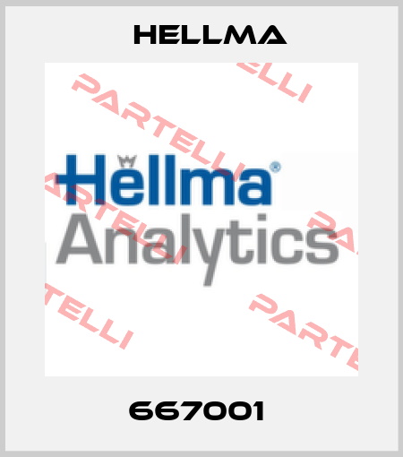 667001  Hellma